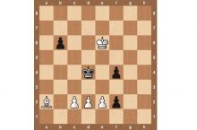 Решение шахматных задач для начинающих