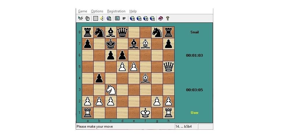 Net Chess