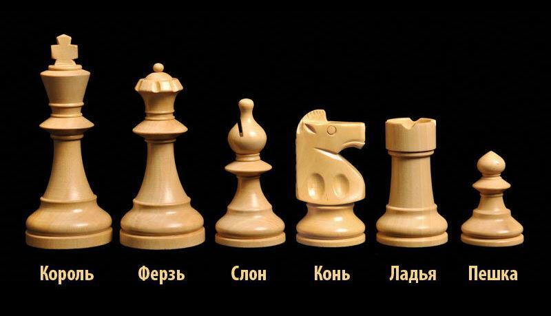 Слон и ладья в шахматах