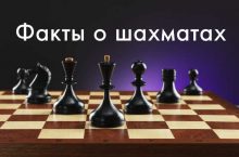 факты о шахматах