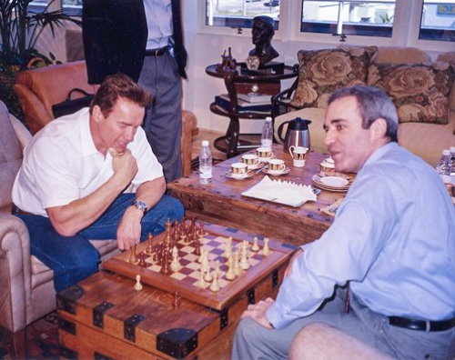 Арни и Майк играют в шахматы