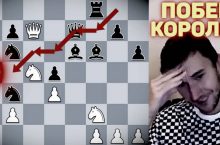 карякин король шахматы